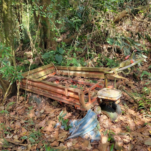 馬那邦山、細道邦山（小百岳）2435583