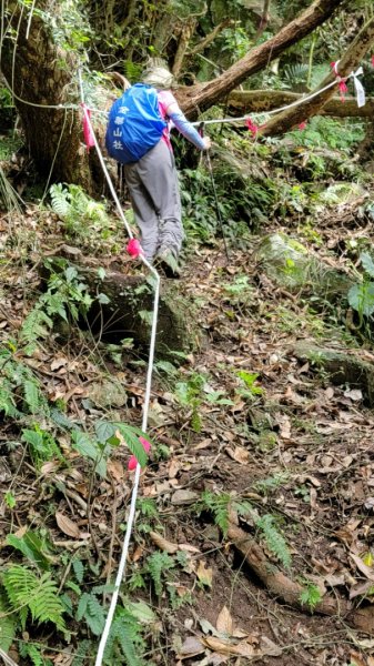 按圖索驥解鎖向天池山-202405192508232