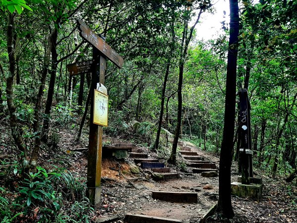 金面山、絹絲瀑布2532393