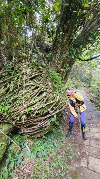 淡蘭南路2+1逆走2671858