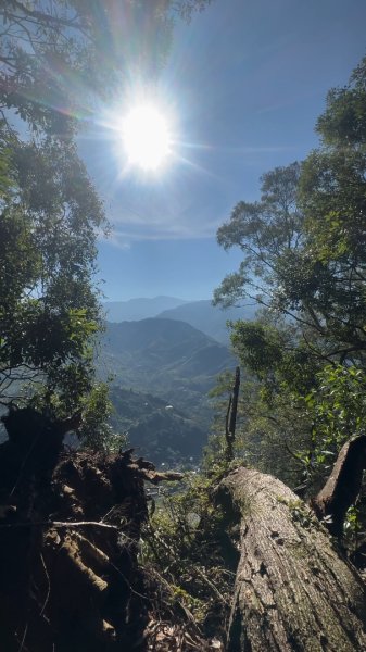 苗栗卓蘭-大克山2626454