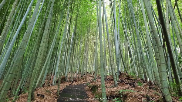 《雲林》望好望角｜石壁山嘉南雲峰步道(中側登山口）202506072805324