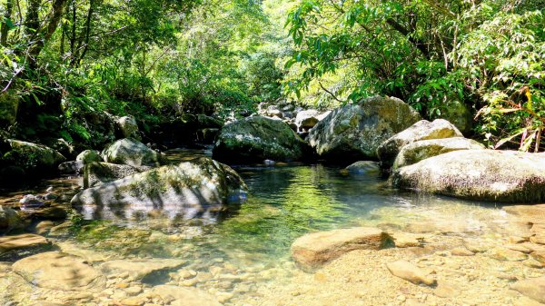 中坑古道東山西山2896466