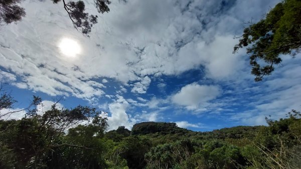 社頂自然公園步道1563339