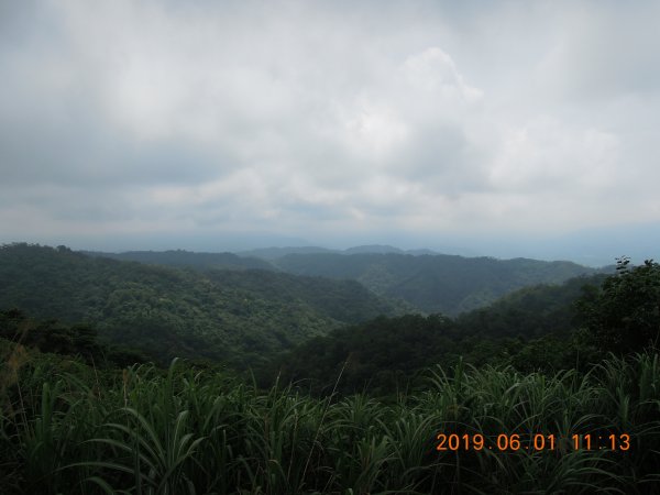 20190601_飛鳳山中坑山835935