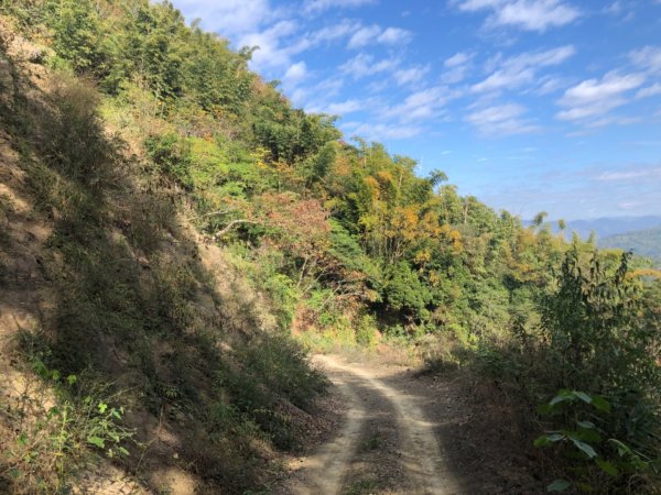 高雄市甲仙區小百岳69號白雲山（廓亭山）一等三角點及一等衛星控制點1984395