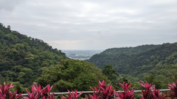 抹茶山 三角崙山2092449