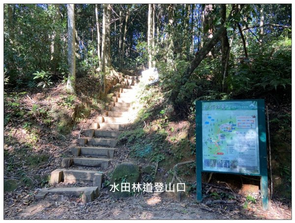 內鳥嘴山、北得拉曼步道 P型連走2632490