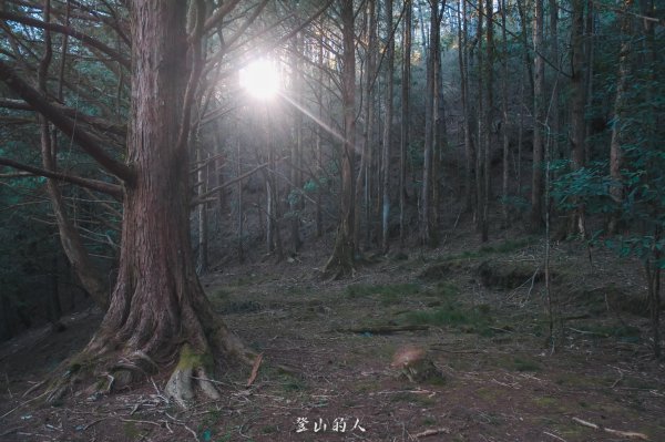 霞山鐵道野營2843110