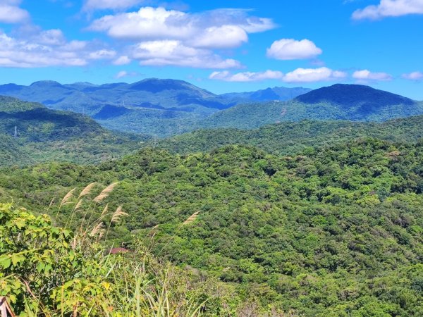 情人湖環山步道-(基隆)臺灣百大必訪步道2249551