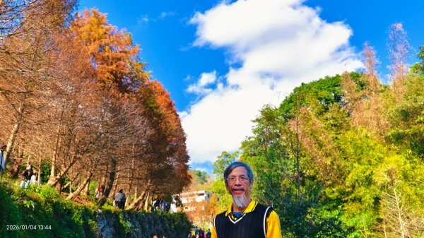 #花卉試驗中心 #永公路500巷 #平菁街42巷 #原住民公園 #士林官邸 1/42976540