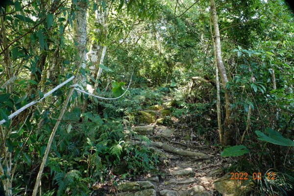 臺中 太平 暗影山1608975