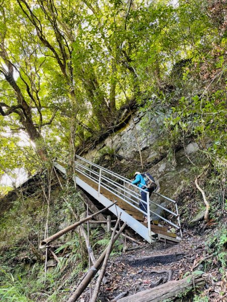 1140825司馬庫斯新巨木園區-司立富瀑布-部落觀景台2871230