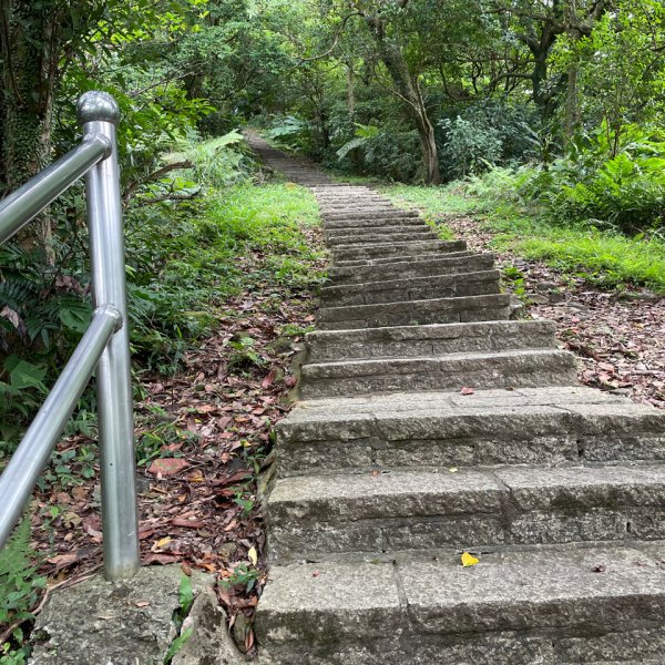 20240907 新北汐止 大尖山步道（小百岳-大尖山）2588981