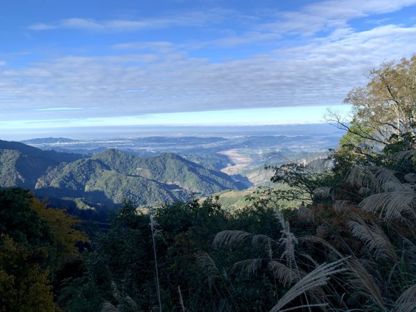 摩天嶺林道上烏石坑山2020.12.61416323