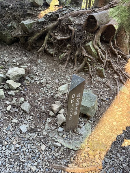 1141122特富野古道2995413