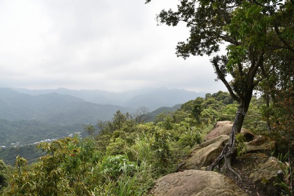 天上山／小百岳0181371783