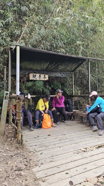 【與好友父子同行，步伐輕盈，心也安定!】16訪尾寮山⛰️周末人氣滿滿！魔王的氣場果然不同凡響💪2991240