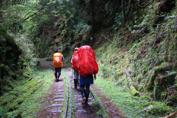 阿里山眠月線(石猴來回)640159