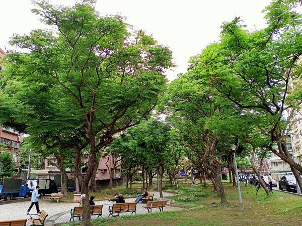 內湖瑞陽公園→文德三號公園→基隆河右岸→美堤河濱公園步道2089978