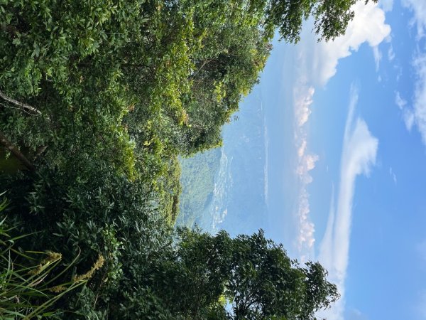 20250913_大橫屏山（南投小百岳）2941222