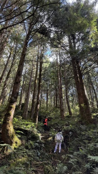 20250913小百岳三星山2885251