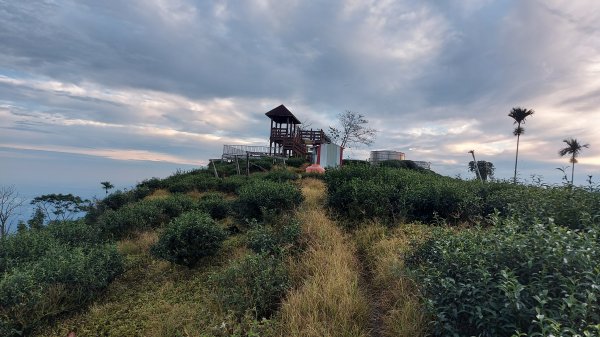 雲嘉九連峰1438907