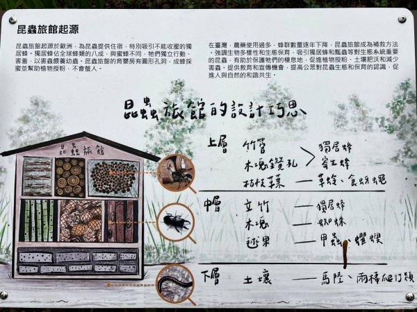 🌈228連假北橫賞櫻客製化四日遊Day1   FB：熊熊趴爬走🌈2724517