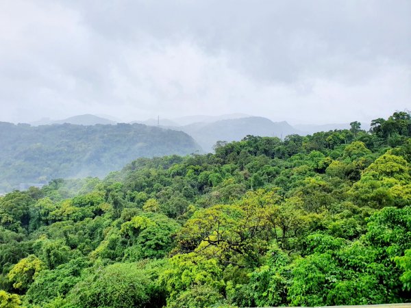 劍潭山，文間山，忠勇山，北投龍鳳谷步道，菜公坑瀑布，水車寮步道，頂湖山，青楓步道，海芋環狀步道1660747