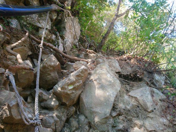 屋我尾山(麗陽線)821162