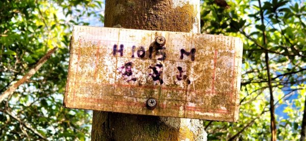 【中級山縱走 】向天湖山，三角湖山，光天高山2742282