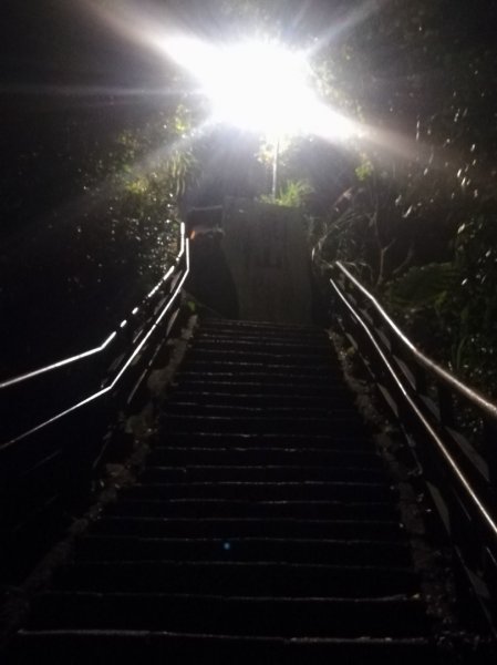 小百岳013號～南港山，幾乎整路爬樓梯，不怕樓梯者限定1348573