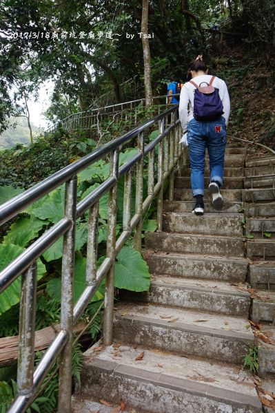 廟前坑登廟步道20170318109560