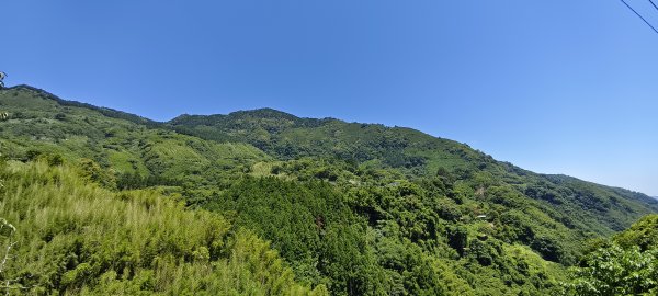 2026/05/31_白蘭溪古道O型3066895