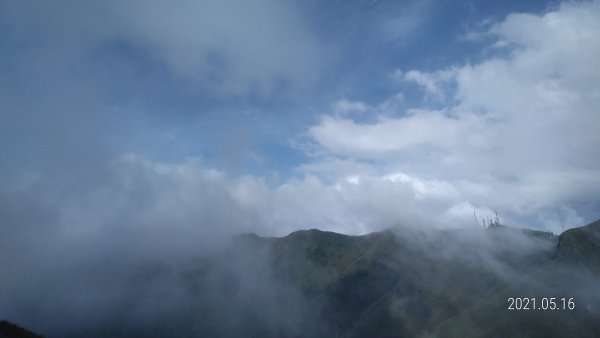 再見觀音圈 - 山頂變幻莫測，雲層帶雲霧飄渺之霧裡看花 & 賞蝶趣1390111