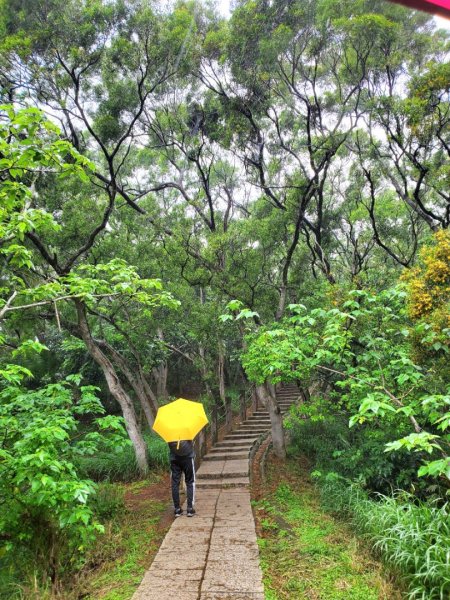 新竹六寮古道，七星神木，鳳崎落日步道，香山濕地賞蟹步道，十八尖山，竹塹城迎曦門，竹北豆腐岩1680890