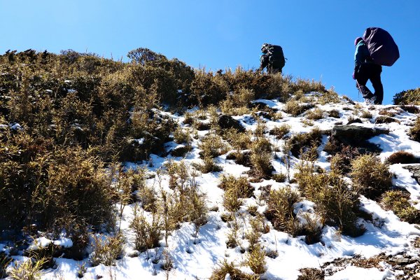 雪山西稜縱走832716