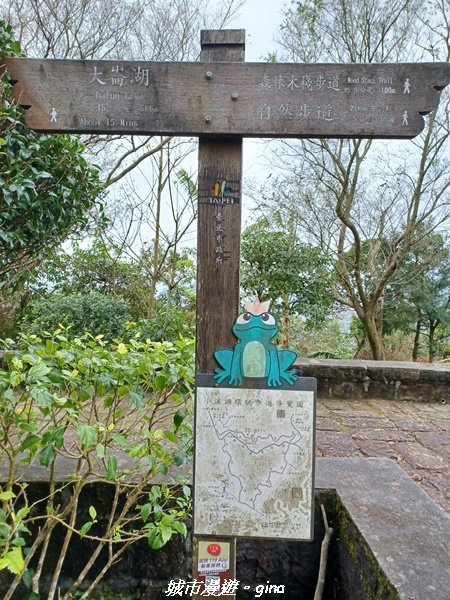 【台北。內湖】山頂好眺望。 小百岳集起來。 編號8小百岳大崙頭尾山親山步道1590479