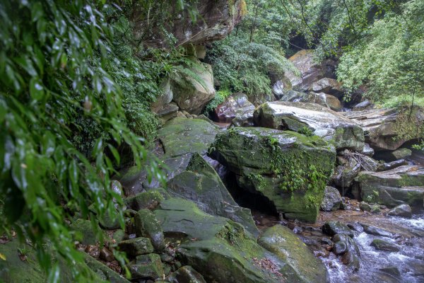 暖東峽谷/草嶺舊隧道2816505