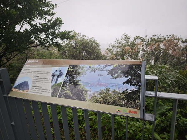 2026_0131 獅球嶺北峰2997795