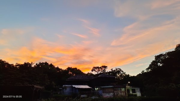 雲山水花鳥蝶 - 天龍國阿伯的日常7/162551877