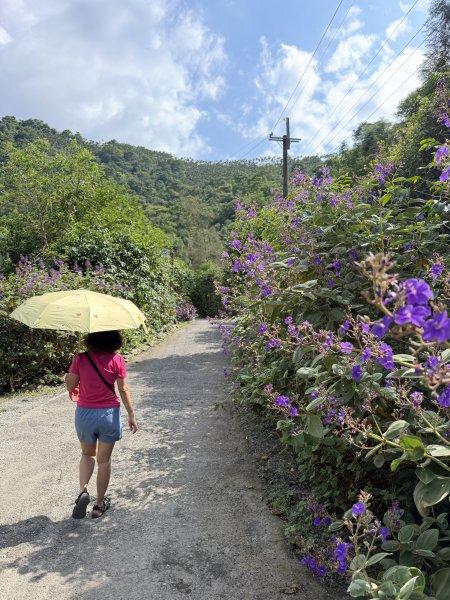 九寮溪步道(戈霸瀑布)2026.06.193079265