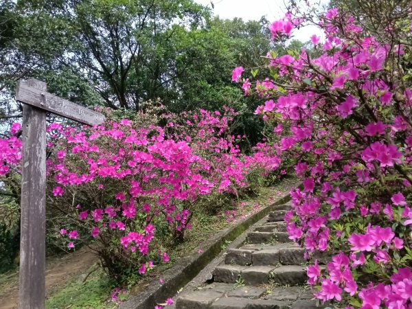 瑞芳區基隆山步道O型
