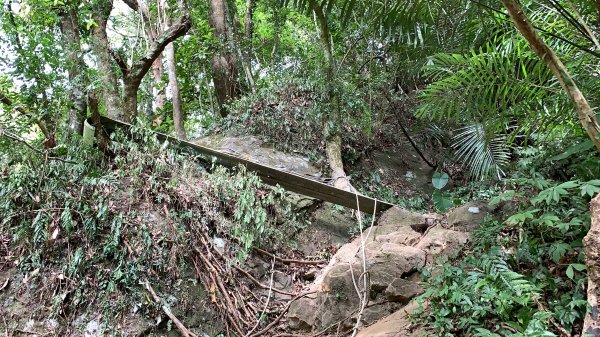 【小百岳】石牛山O型：拉繩、岩洞、展望佳1199307