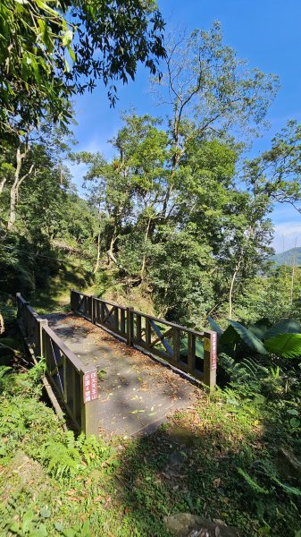 【四大天王山O型縱走未竟之旅：封山中的靜謐與省思】解鎖嘉義竹崎四大天王山、知鳥山。2929906