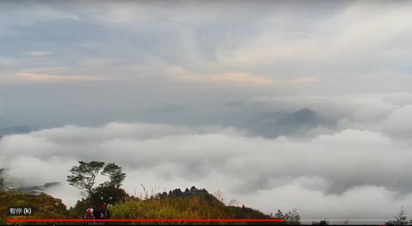 阿里山雲瀑&雲海/富士山直播即時視訊833451