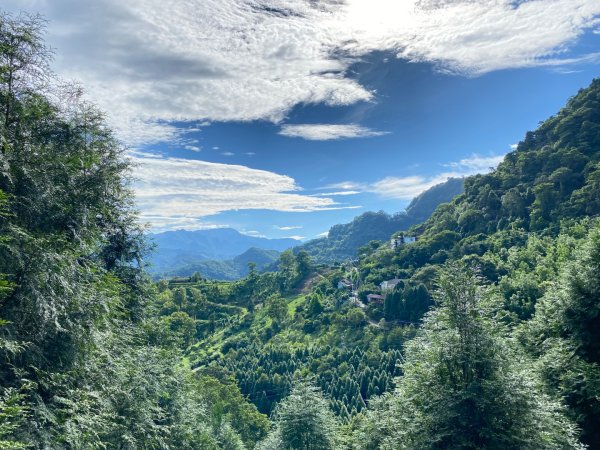 暗影山2604891