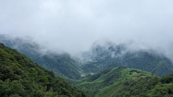 113.06.01魯壁山-東穗山之旅2529864