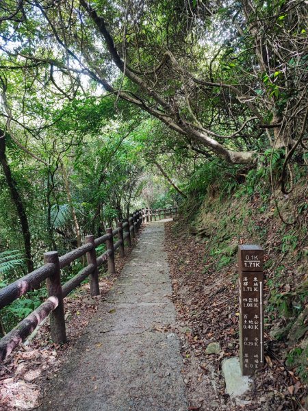 暖東峽谷步道-(基隆)臺灣百大必訪步道2249162