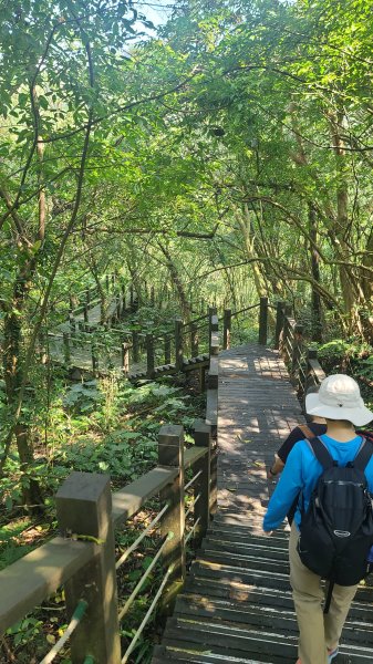 2025-0310臺北大縱走第七段2737266